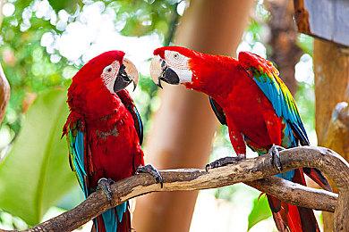 《野狗子》制作组采访第二部分 该作聚焦于恐怖世界观